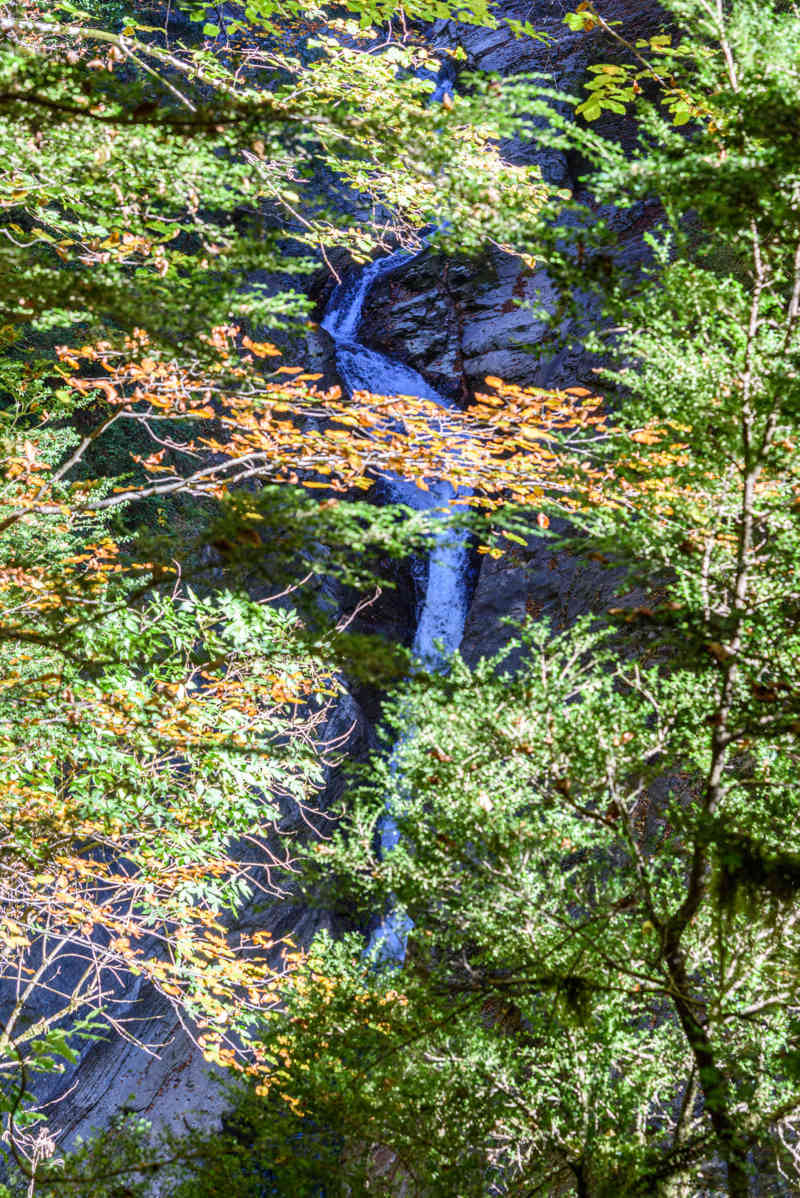 Huesca - parque nacional de Ordesa y Monte Perdido - valle de Añisclo 86 - cañon de Añisclo - rio Aso - salto de agua.jpg